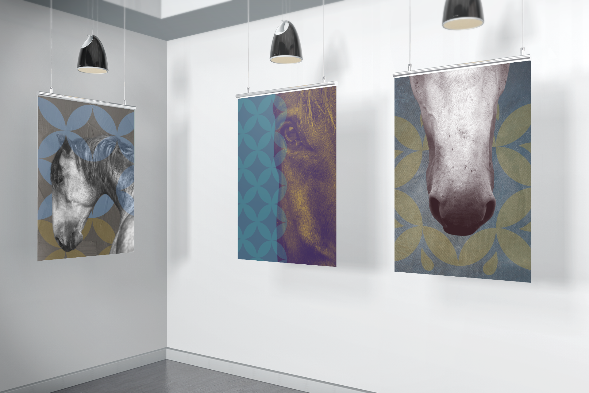 Living Legacy Collection